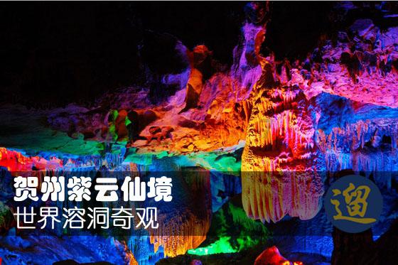 拯救可爱小鳄鱼