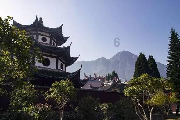 救援受困的长颈鹿