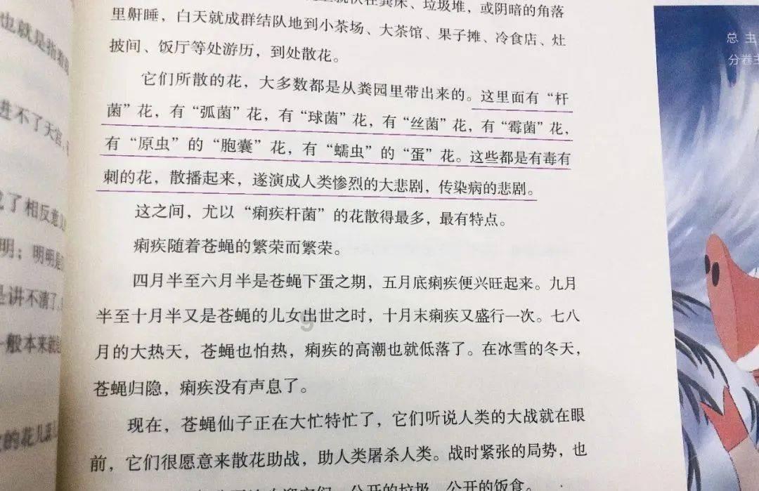 口袋森林世界杯传球大赛
