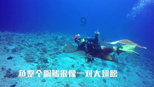 模拟人生4