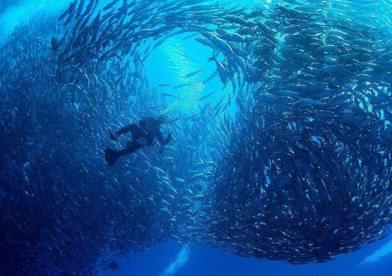 守护飞行城堡