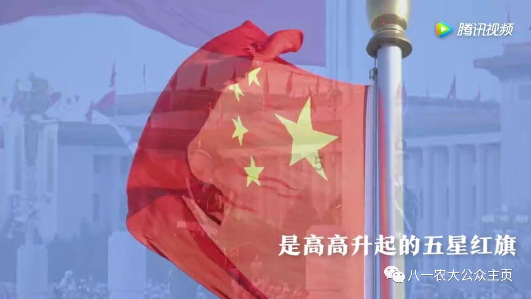 年味仪式感拉满！罗湖新春饺子宴太太太暖啦~