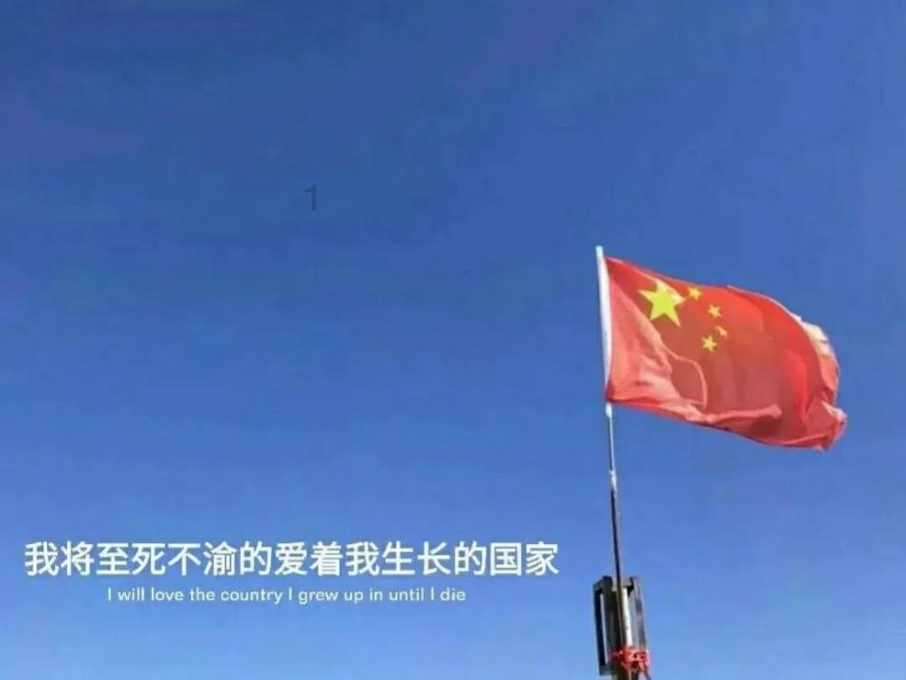 逃离棕榈树森林
