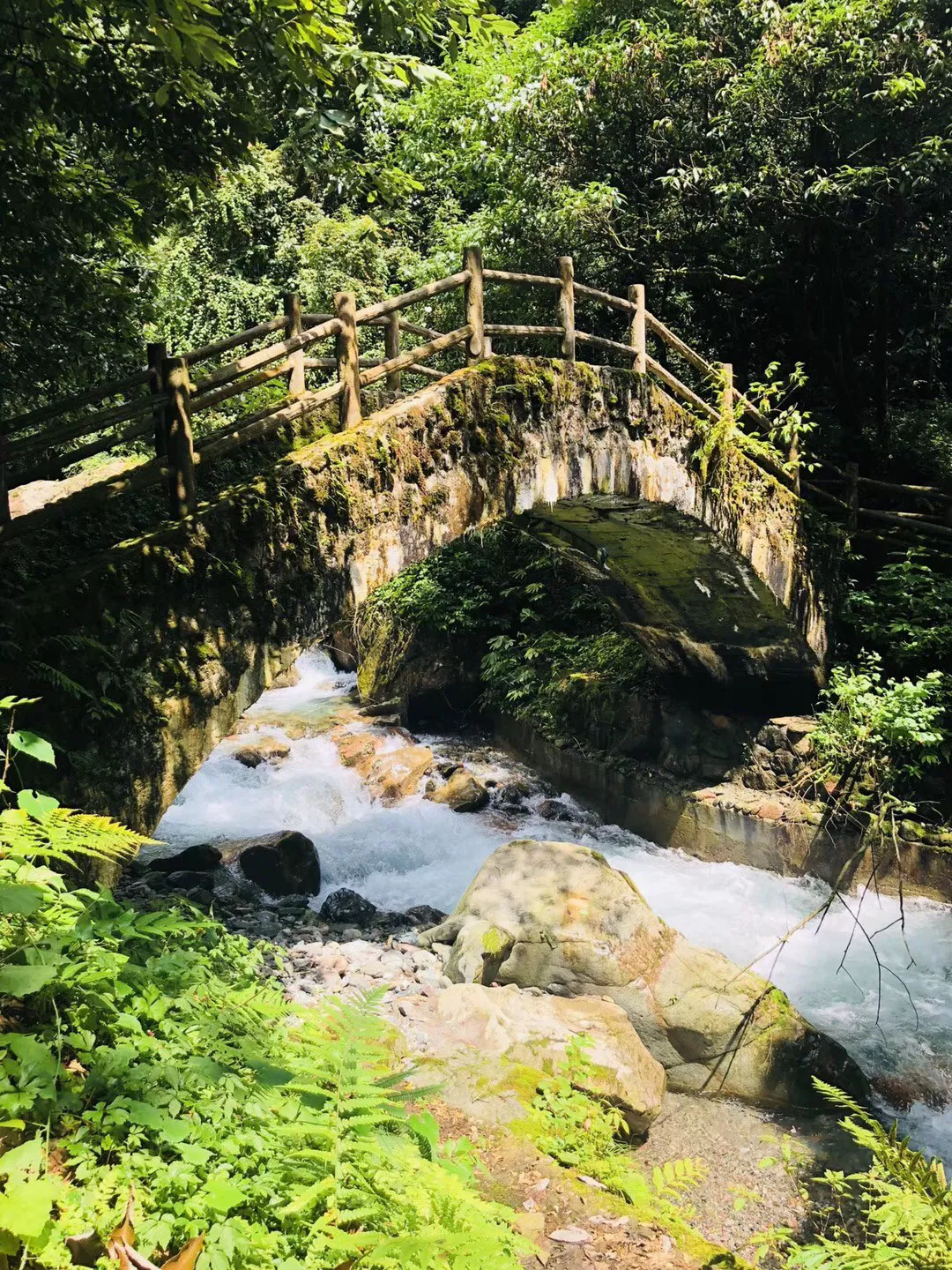 智力水滴