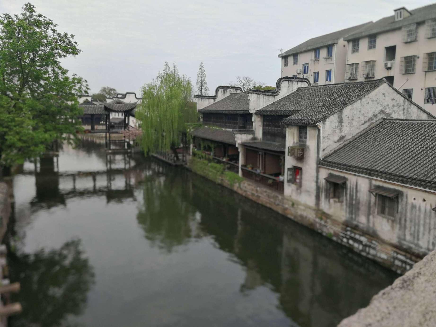 走进直播间 | 青春期无烦恼，升学路不迷茫！东外国高为你保驾护航