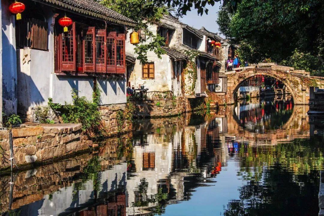 除虫大师